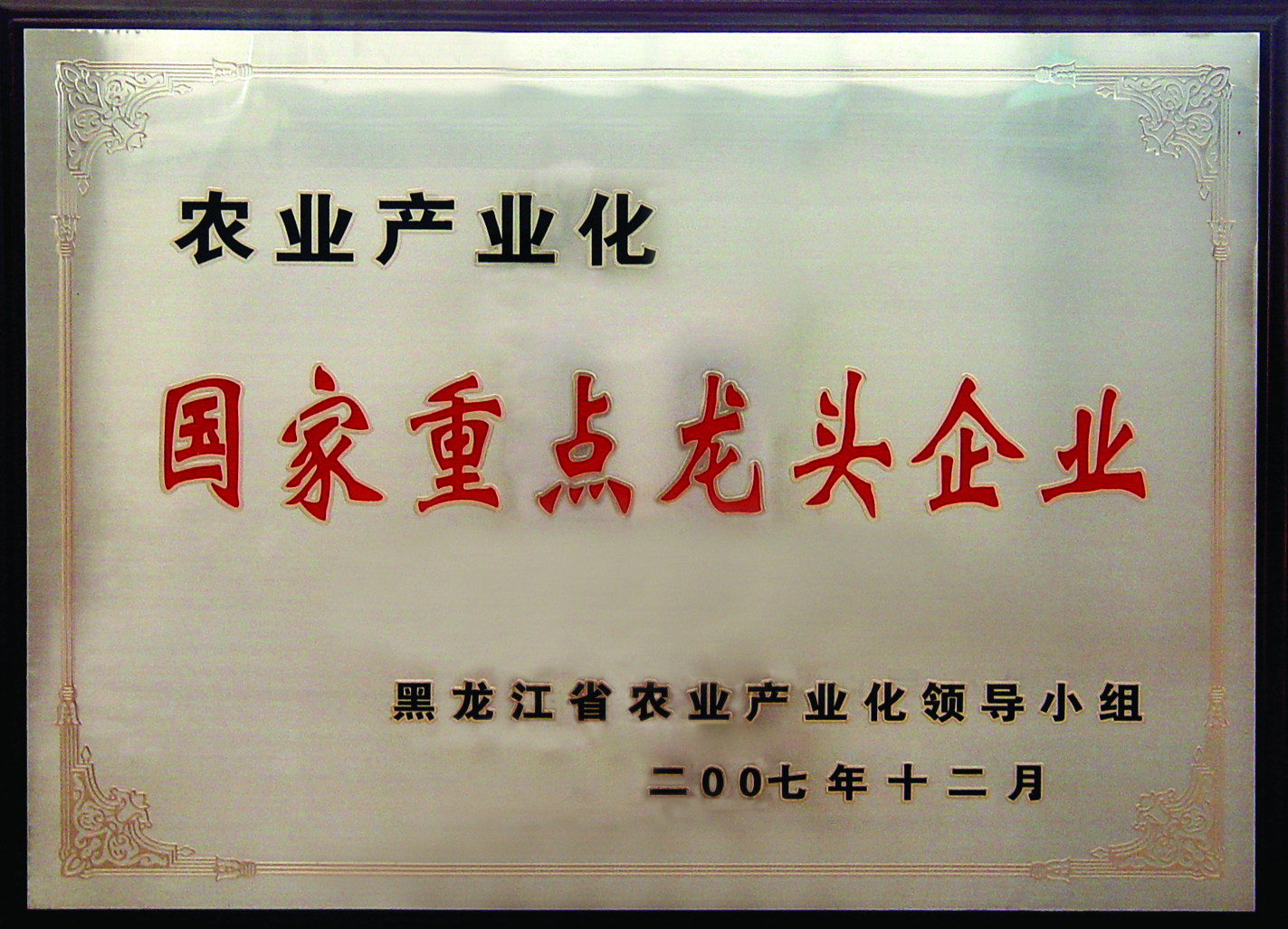 國(guó)家重點(diǎn)龍頭企業(yè).jpg